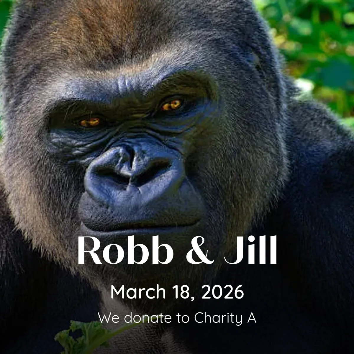 Robb & Jill